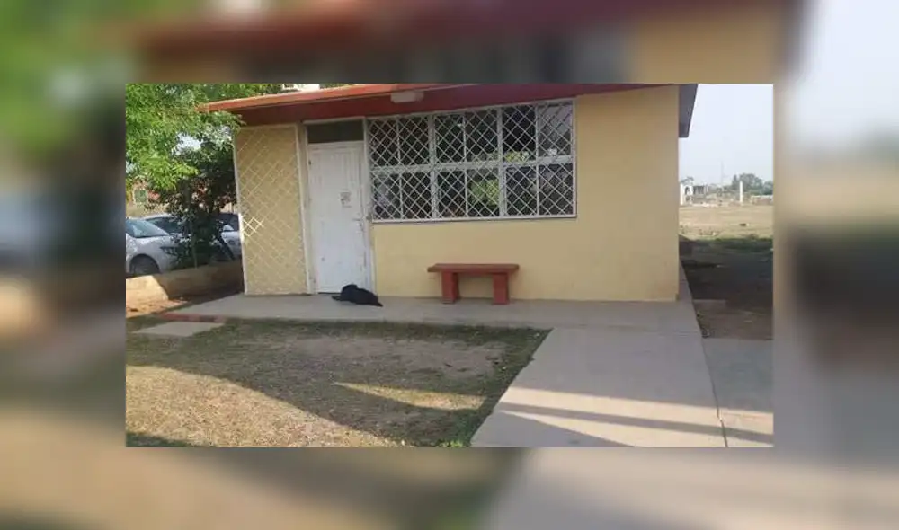 Facebook viral: inteligente perro acompaña a su dueño a su primer día de escuela [FOTOS]