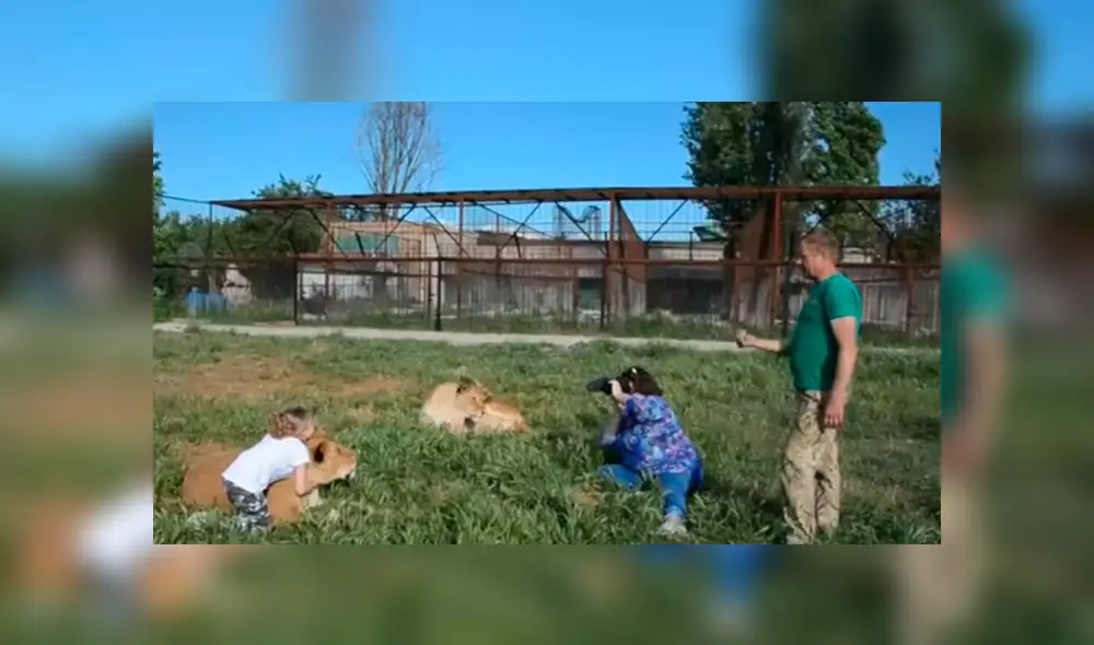YouTube viral: Niña entra a calabozo de leones y la reacción de estos deja impactados a todos [VIDEO]