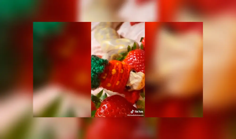 Desliza a la izquierda para conocer el tierno aspecto de esta serpiente que ha sorprendido a miles en TikTok. Foto: Captura.