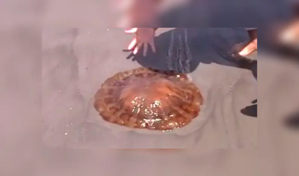 malaguas en Chorrillos