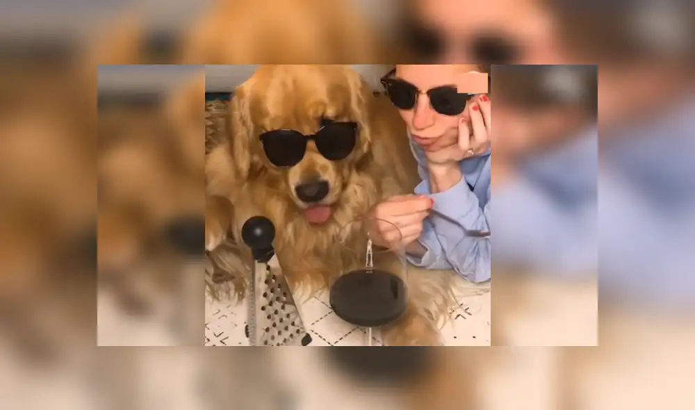 Desliza las imágenes para ver a este divertido perro que ha causado sensación por su interpretación de 'Stand by me'.