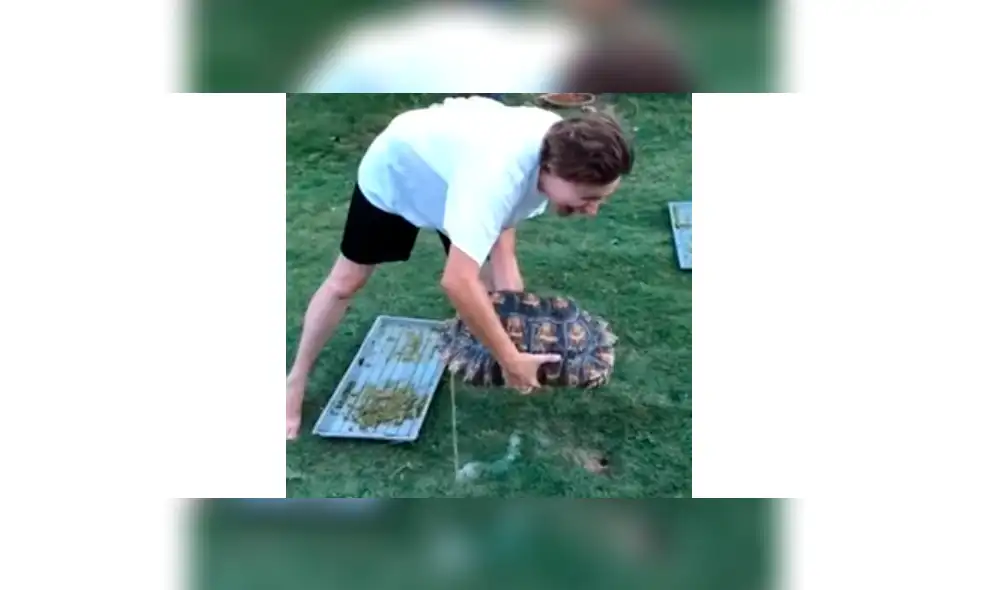 YouTube viral: Chica carga a su enorme criatura y esta le orina encima [VIDEO]