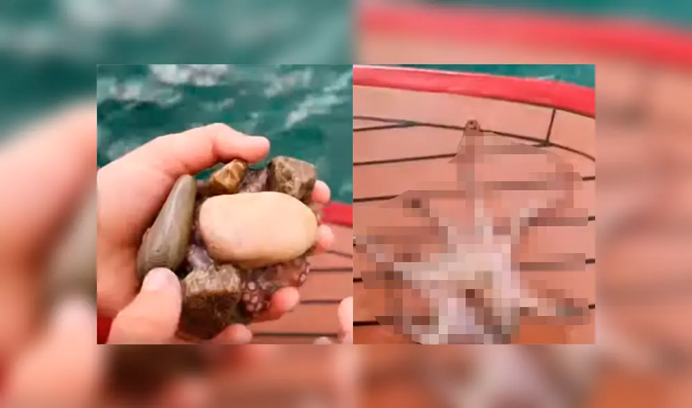 Un pescador se llevó una aterradora sorpresa al encontrarse una misteriosa piedra en una bahía. Un pescador se llevó una aterradora sorpresa al encontrarse una misteriosa piedra en una bahía.