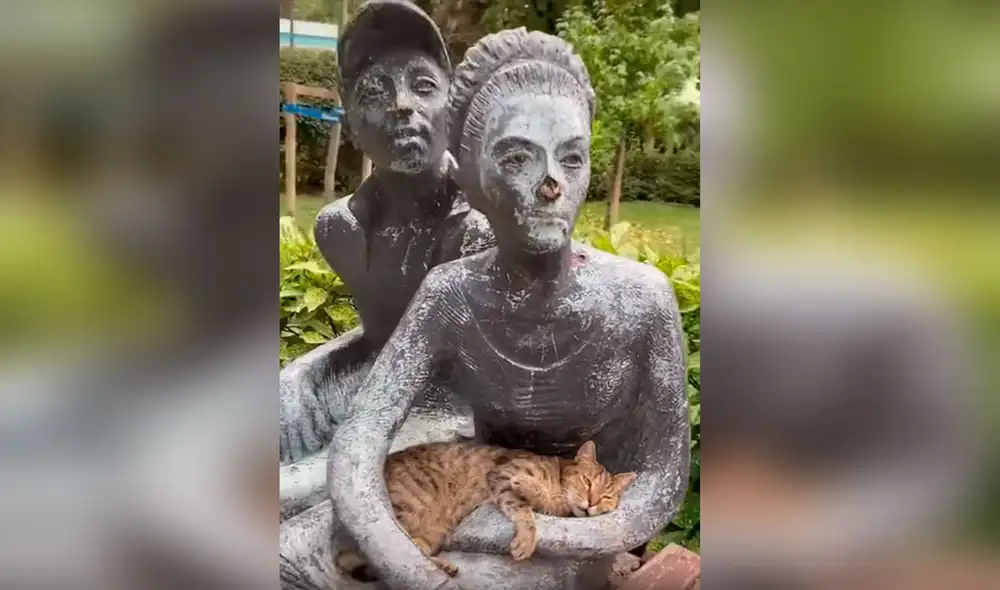 Desliza las imágenes para ver la conmovedora acción de un gato callejero al echarse encima de una estatua. Foto: captura de TikTok