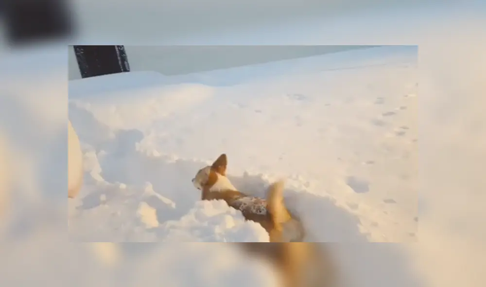 Desliza a la izquierda para conocer más sobre este nuevo viral de YouTube. Foto: Captura. Desliza a la izquierda para conocer más sobre este nuevo viral de YouTube. Foto: Captura.