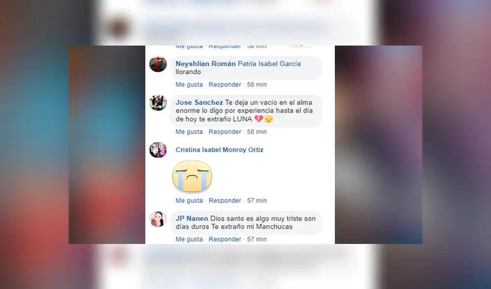 Facebook viral: fan de Dragon Ball Super se despide de su mascota con emotivo mensaje