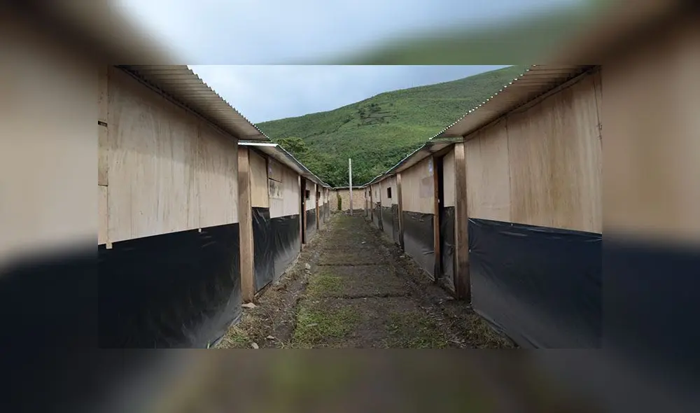 El 20% de módulos de vivienda habrían sido alquilado a terceros. Foto: Andina El 20% de módulos de vivienda habrían sido alquilado a terceros. Foto: Andina