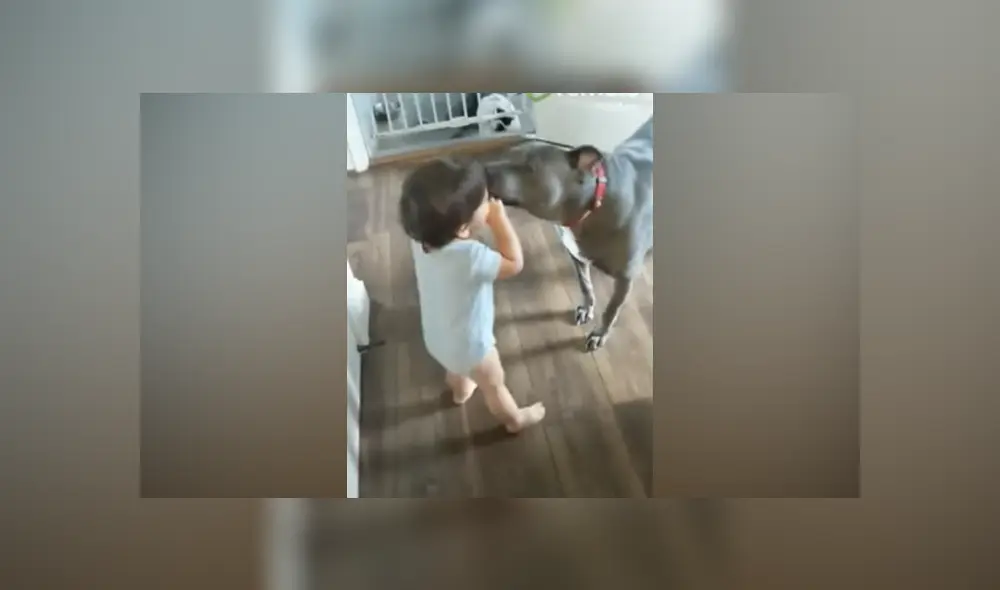 Desliza hacia la izquierda para ver las imágenes del viral de Facebook. Foto: Captura. Desliza hacia la izquierda para ver las imágenes del viral de Facebook. Foto: Captura.