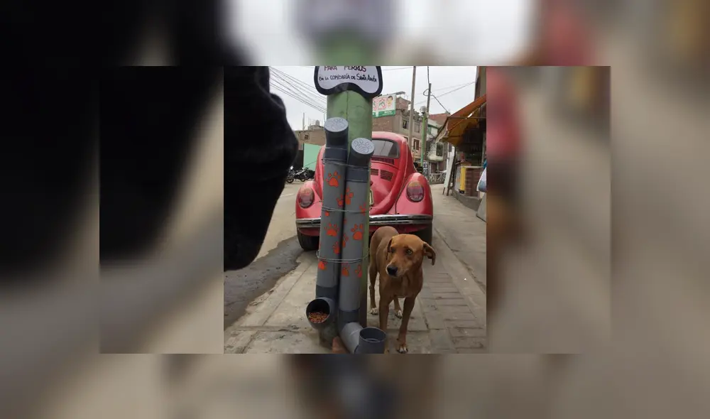 Facebook: estudiantes lanzan iniciativa para alimentar a perros callejeros junto a la PNP [FOTOS]