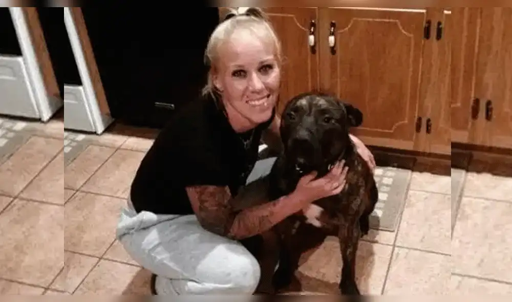 Joven fue devorada viva por sus dos perros pitbull