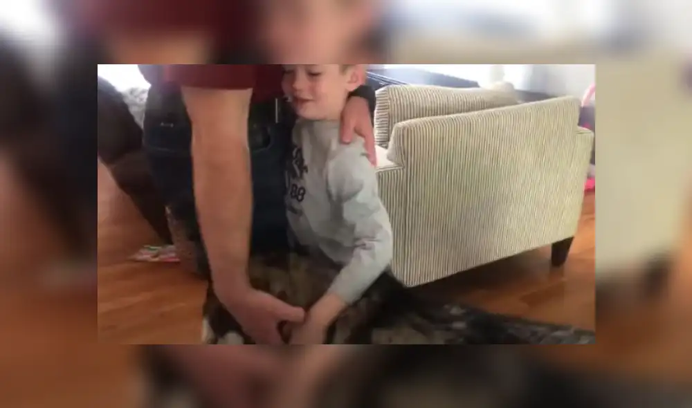 Video es viral en TikTok. El can vio que su dueño estaba abrazando a su hijo antes de irse a trabajar y tuvo una graciosa reacción para que lo incluyan. Video es viral en TikTok. El can vio que su dueño estaba abrazando a su hijo antes de irse a trabajar y tuvo una graciosa reacción para que lo incluyan.