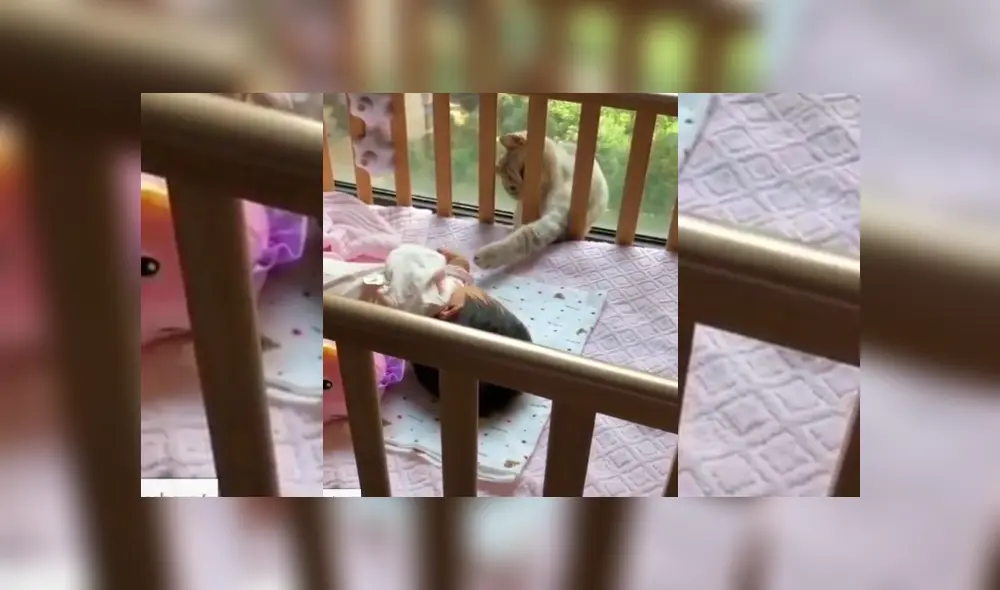 Desliza hacia la izquierda para ver más del video viral