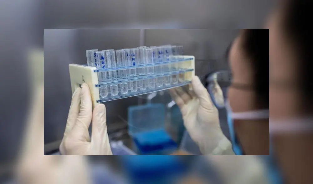 Desarrollo de vacuna. Foto: AFP.