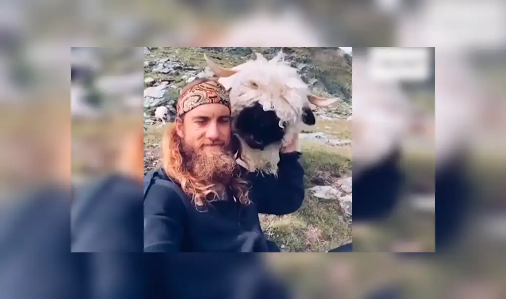 En YouTube, un joven daba un paseo por los campos de Suiza y encontró un enorme animal peludo. En YouTube, un joven daba un paseo por los campos de Suiza y encontró un enorme animal peludo.