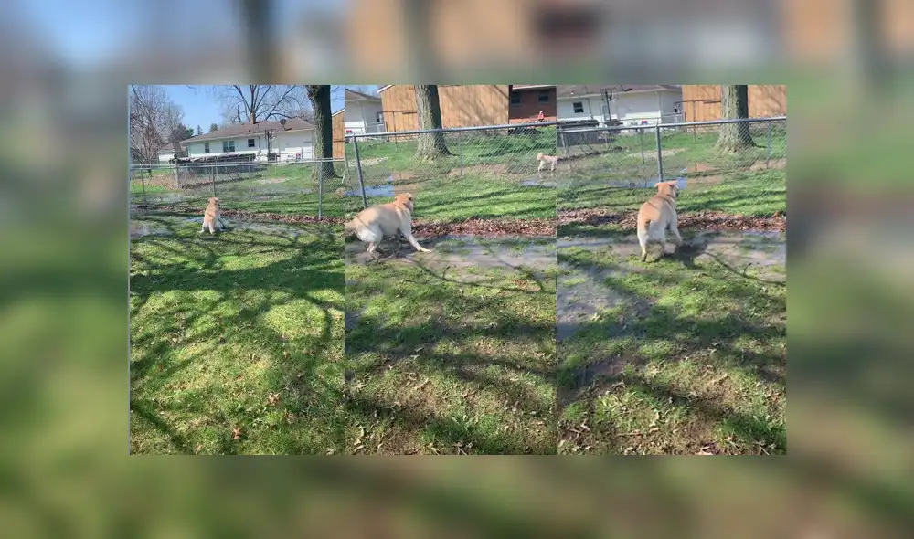 Desliza para ver los detalles del video viral publicado en YouTube. Foto: Captura. Desliza para ver los detalles del video viral publicado en YouTube. Foto: Captura.