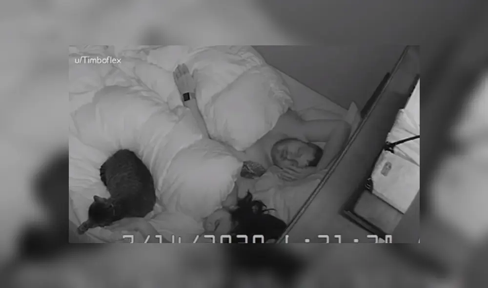 Desliza hacia la izquierda para ver más del video viral. Fotocaotura: YouTube