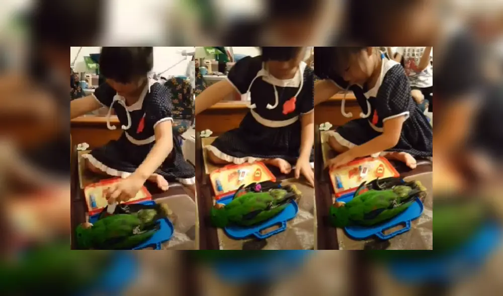 Desliza hacia la izquierda para ver más imágenes de esta tierna escena que ya es viral en YouTube.