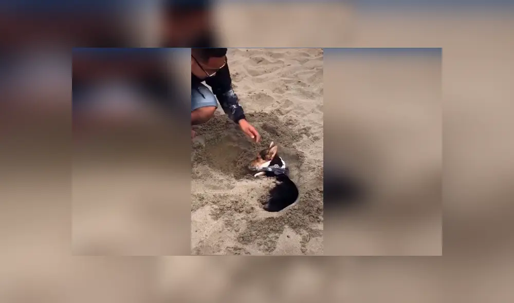 Desliza las imágenes hacia la izquierda para conocer el susto que se llevaron unos jóvenes al descubrir a un perro en la arena.