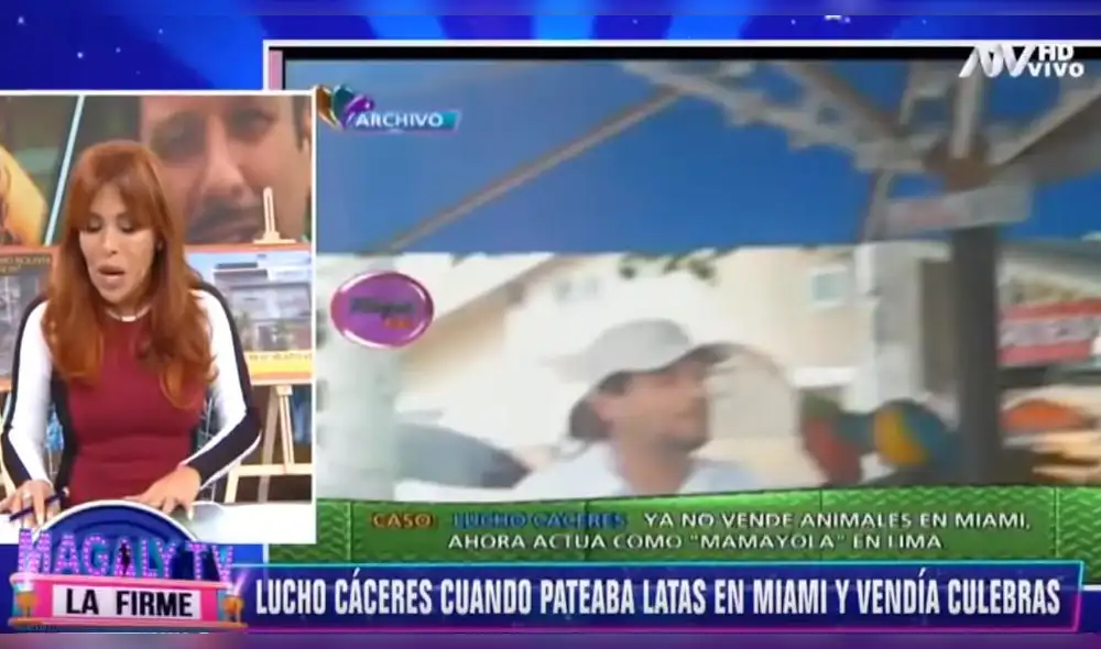 ¿Magaly Medina atacó a Lucho Cáceres por Gisela?: "Fue vendedor de culebras” ¿Magaly Medina atacó a Lucho Cáceres por Gisela?: "Fue vendedor de culebras”