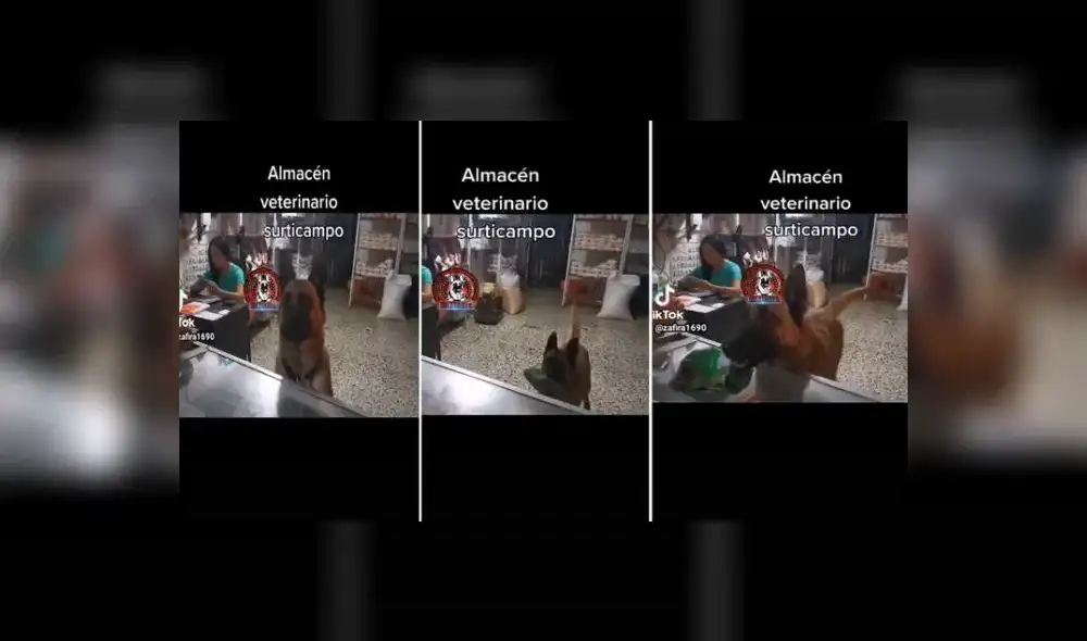 Foto: captura de TikTok Foto: captura de TikTok