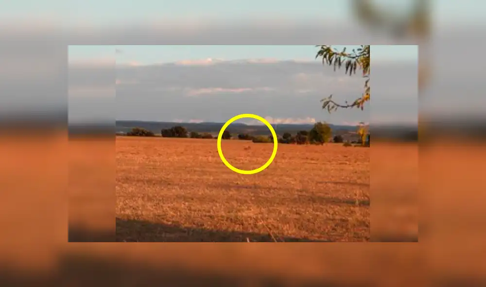 Desliza las imágenes hacia la izquierda para conocer la verdadera respuesta sobre este desafío de Facebook. Foto: La Vanguardia.