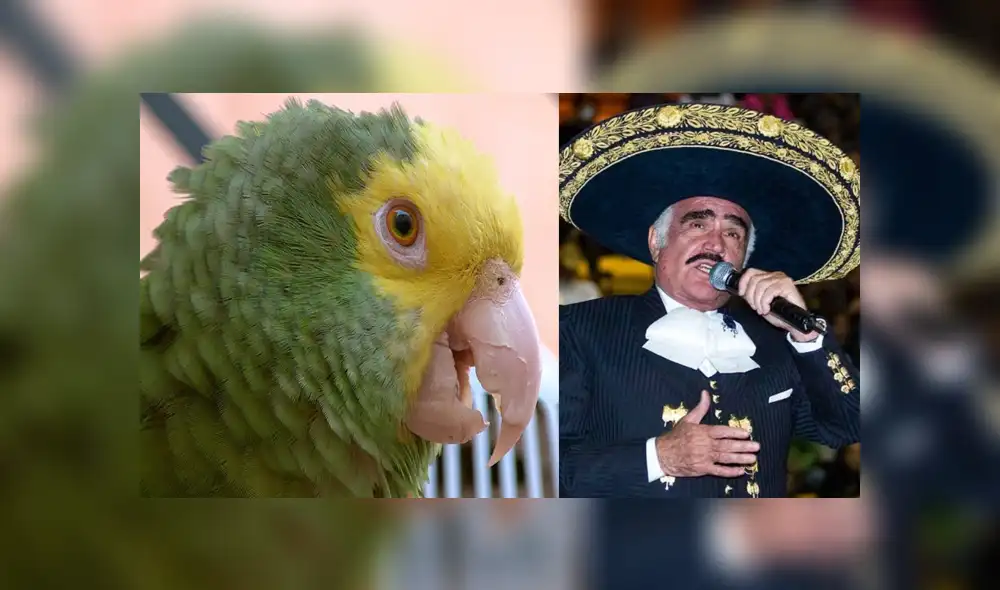 Desliza para ver los detalles del video que se volvió viral en Facebook. Foto: Captura. Desliza para ver los detalles del video que se volvió viral en Facebook. Foto: Captura.