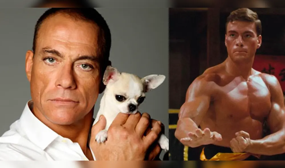 Jean Claude Van Damme celebra 59 años: descubre los capítulos más importantes de la estrella [VIDEO]