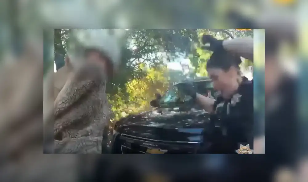 La graciosa reacción de la mujer por la intempestiva aparición del reptil desató más de una carcajada en sus compañeros y se ha hecho viral en YouTube