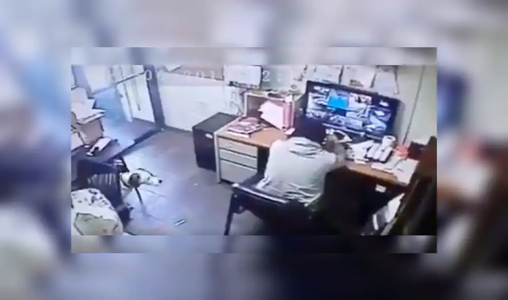 El can observó que su dueño se estaba quedando dormido mientras trabajaba y tuvo un singular comportamiento que ha conmovido a más de uno en Facebook