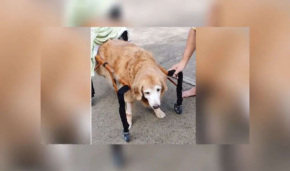 Desliza para ver los detalles del video viral publicado en YouTube. Foto: Captura.