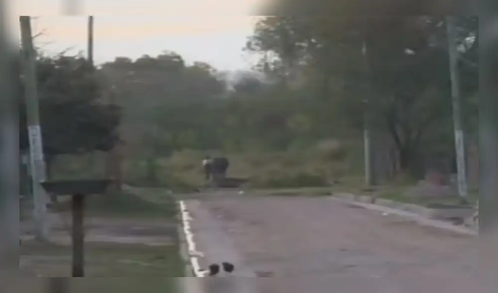 Foto: Captura. Foto: Captura.