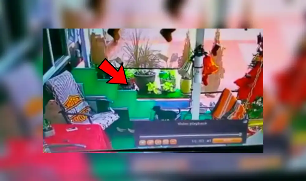 Facebook viral: coloca cámara de seguridad y descubre lo que hace su perro cuando él no está en casa Facebook viral: coloca cámara de seguridad y descubre lo que hace su perro cuando él no está en casa