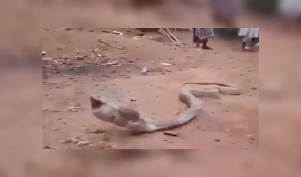 Desliza para ver los momentos más impactantes del video que se hizo viral en Facebook.