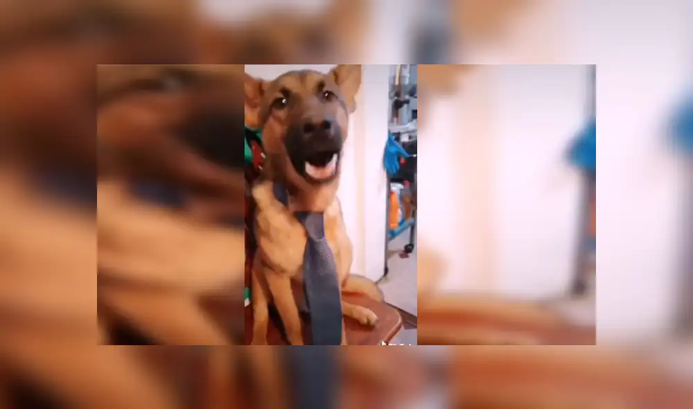 Desliza para ver los detalles de este gracioso video que es un éxito en YouTube. Foto: Captura. Desliza para ver los detalles de este gracioso video que es un éxito en YouTube. Foto: Captura.