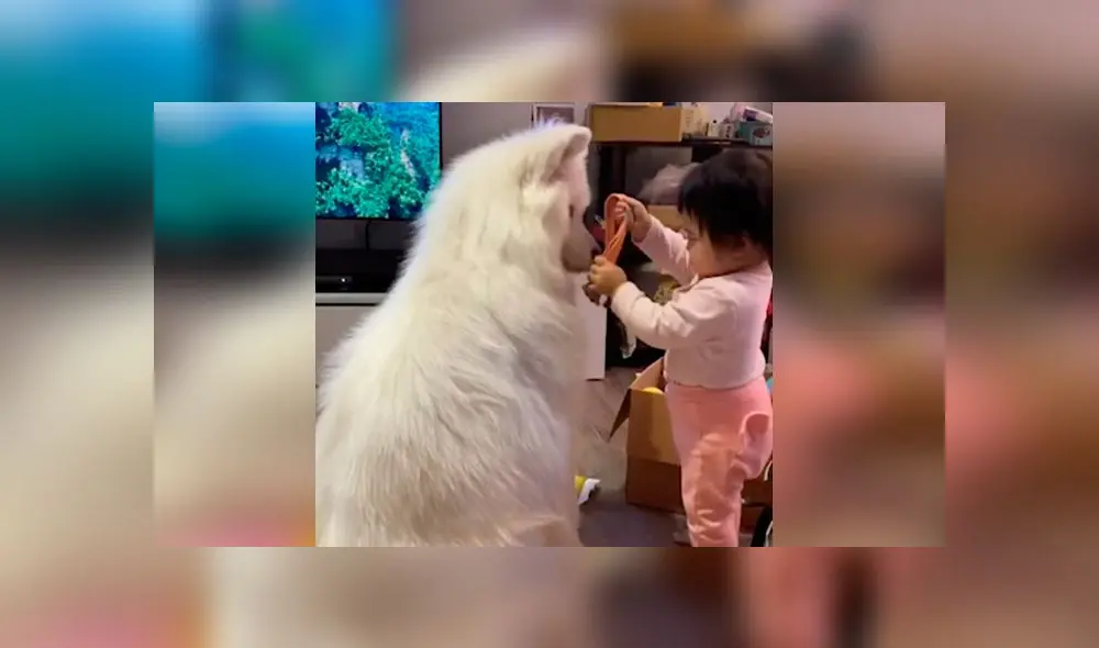 Desliza las imágenes para ver la emotiva escena que registró una madre entre su bebé y su mascota. Foto: Viral Press