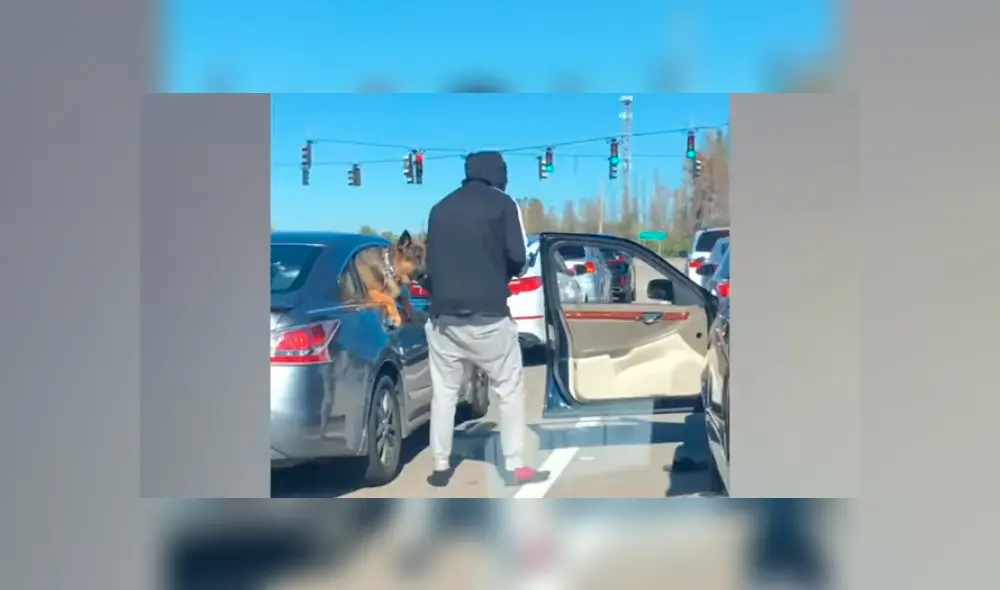 El hombre se bajó del carro para que la perrita la vea por última vez. Foto: captura