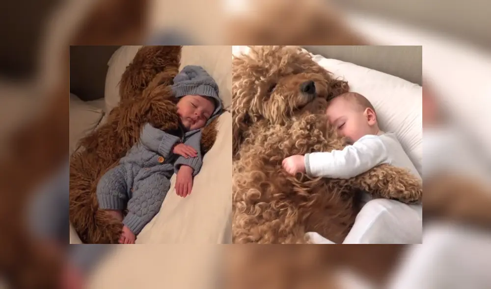 Desliza hacia la izquierda para ver más del video viral