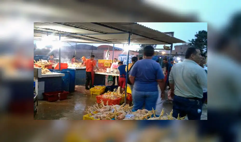Callao: clausuran avícola que vendía pollos en condiciones insalubres 