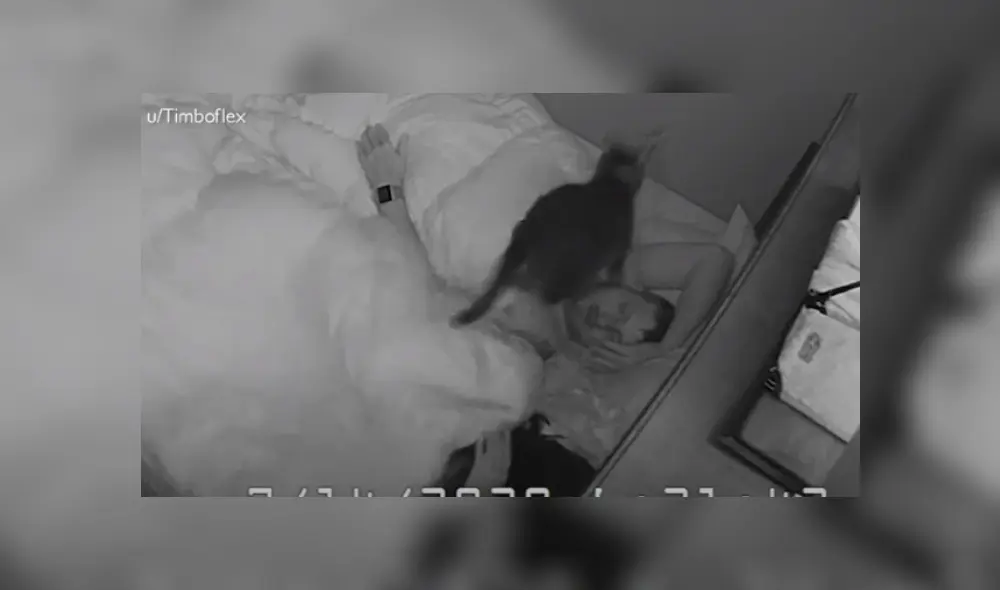 Desliza hacia la izquierda para ver más del video viral. Fotocaotura: YouTube