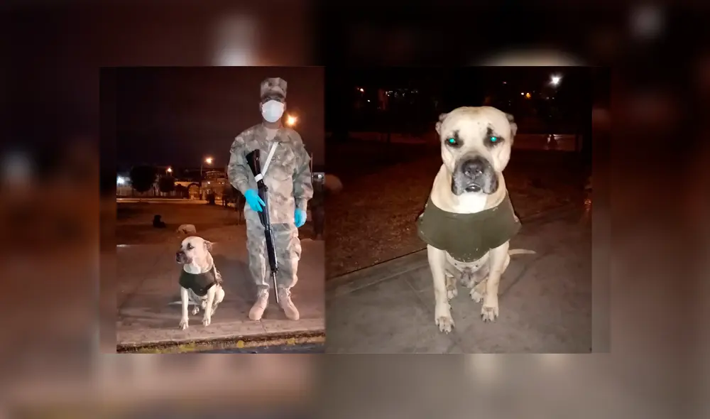 Un soldado siendo acompañado por un perrito durante sus guardias de cuarentena por la COVID-19.