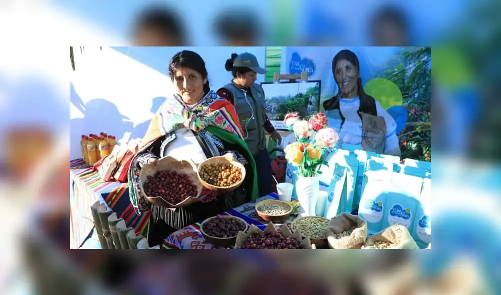 Puno degustó el mejor café y cacao del valle de Sandia y Carabaya [FOTOS]