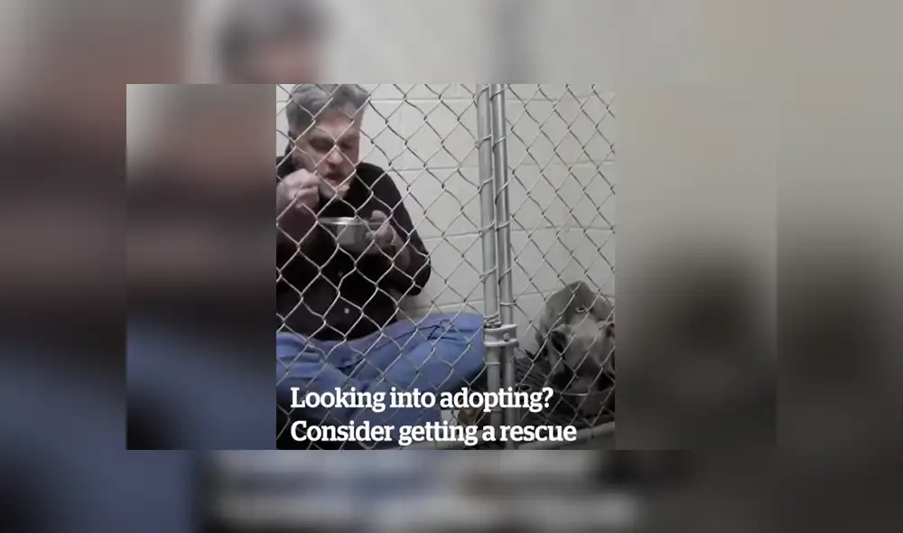 Facebook viral: veterinario aplica ‘truco’ para ganarse confianza de perro callejero y así hacerlo comer Facebook viral: veterinario aplica ‘truco’ para ganarse confianza de perro callejero y así hacerlo comer