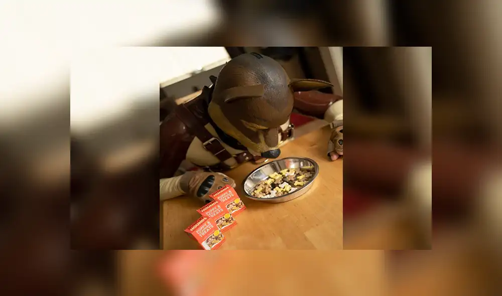 El insólito caso del hombre que se cree perro: come, ladra, y muerde a quien se le acerque El insólito caso del hombre que se cree perro: come, ladra, y muerde a quien se le acerque