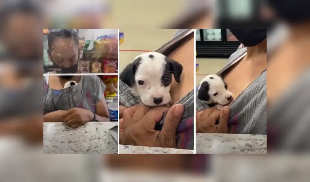 Desliza las imágenes para ver más detalles de esta conmovedora escena que es viral en YouTube.