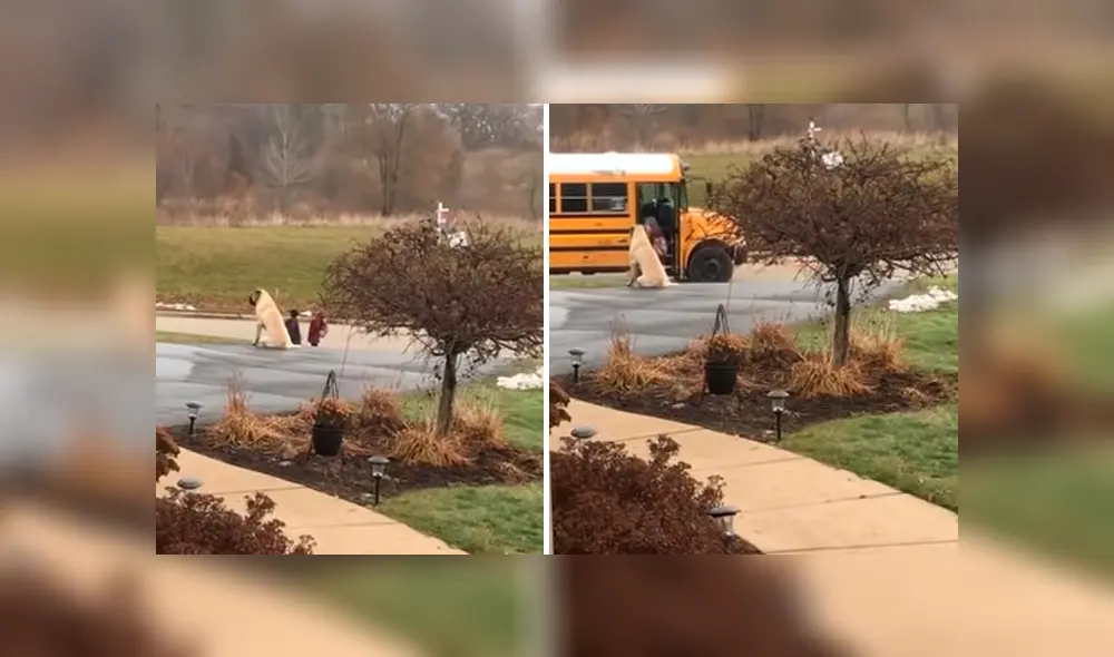 Familiar de las pequeñas captó la peculiar escena desde su casa y compartió las imágenes en YouTube y otras redes sociales Familiar de las pequeñas captó la peculiar escena desde su casa y compartió las imágenes en YouTube y otras redes sociales