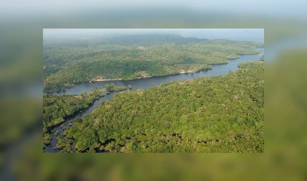 El entidad encargada de realizar el monitoreo satelital del Amazonas en Brasil es el Inpe. Foto:Marcelo Sayão/EFE/Referencial El entidad encargada de realizar el monitoreo satelital del Amazonas en Brasil es el Inpe. Foto:Marcelo Sayão/EFE/Referencial