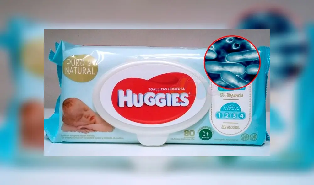 toallitas humedas huggies bacterias toallitas humedas huggies bacterias