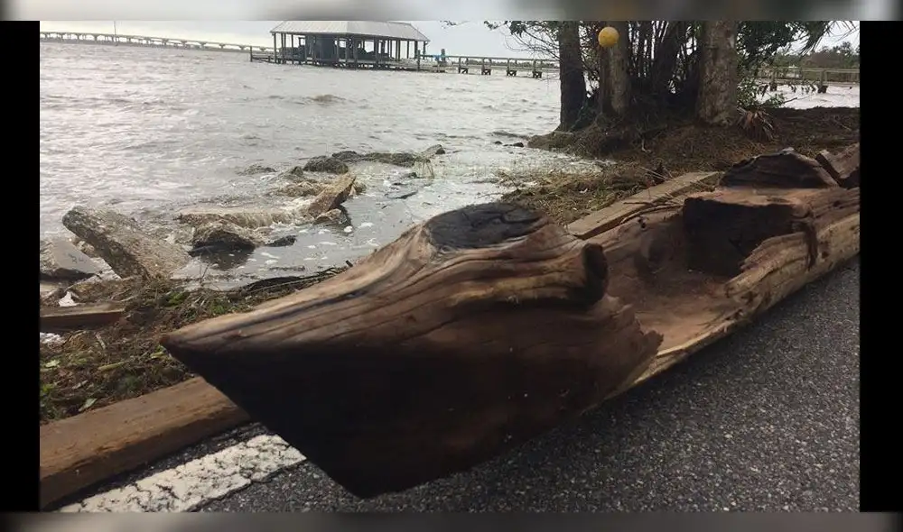 Huracán Irma permitió realizar un increíble hallazgo en Florida [FOTOS]