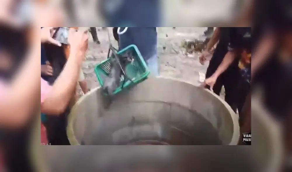 Desliza hacia la izquierda para ver las imágenes del viral de YouTube. Foto: Viral Press Desliza hacia la izquierda para ver las imágenes del viral de YouTube. Foto: Viral Press