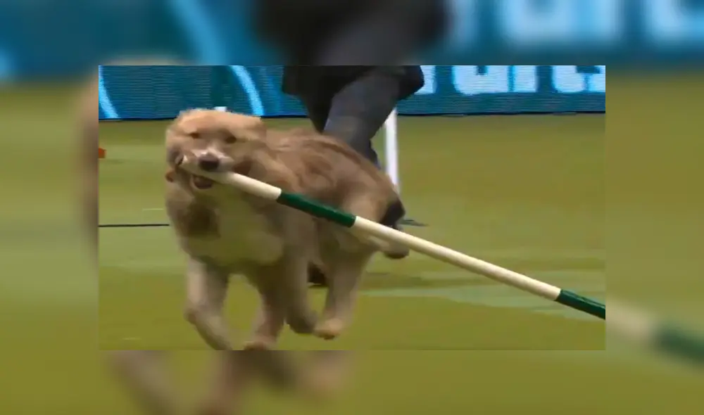 Desliza para ver los detalles del video viral publicado en YouTube. Foto: Captura. Desliza para ver los detalles del video viral publicado en YouTube. Foto: Captura.